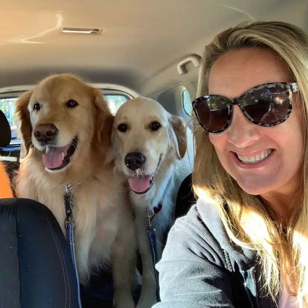 Pet Transportation Stuart, Palm City, Jensen Beach & Port St. Lucie, FL